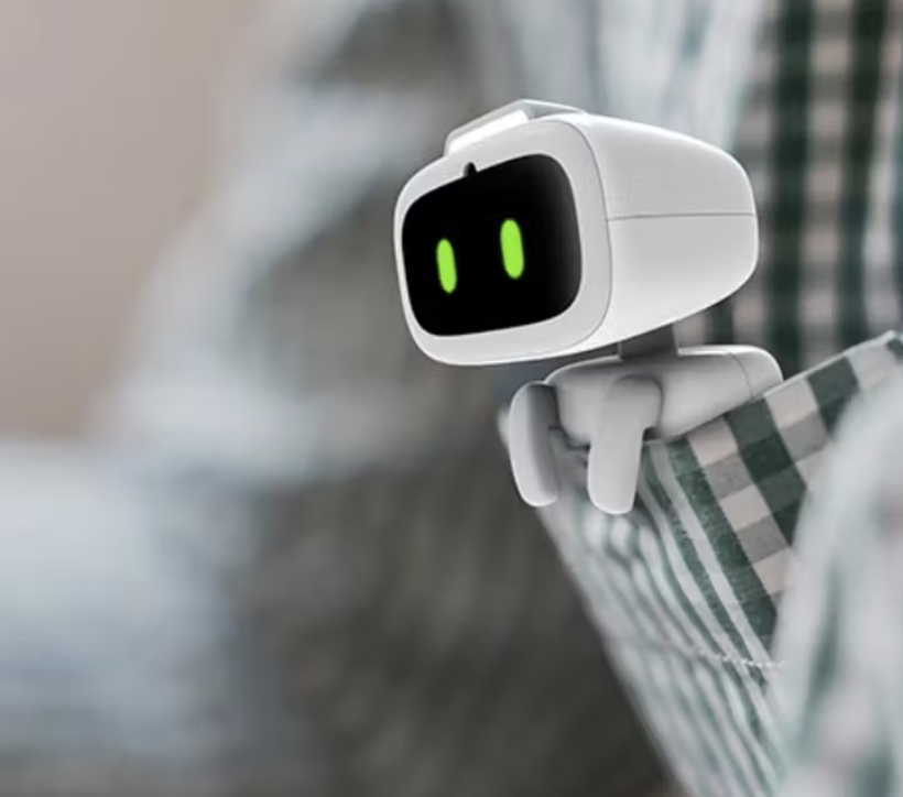 AIBI Pocket icon