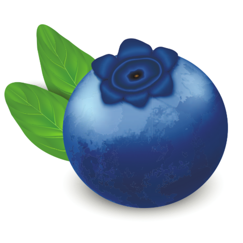 BilberryDB icon