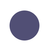 Color Palette Pro icon