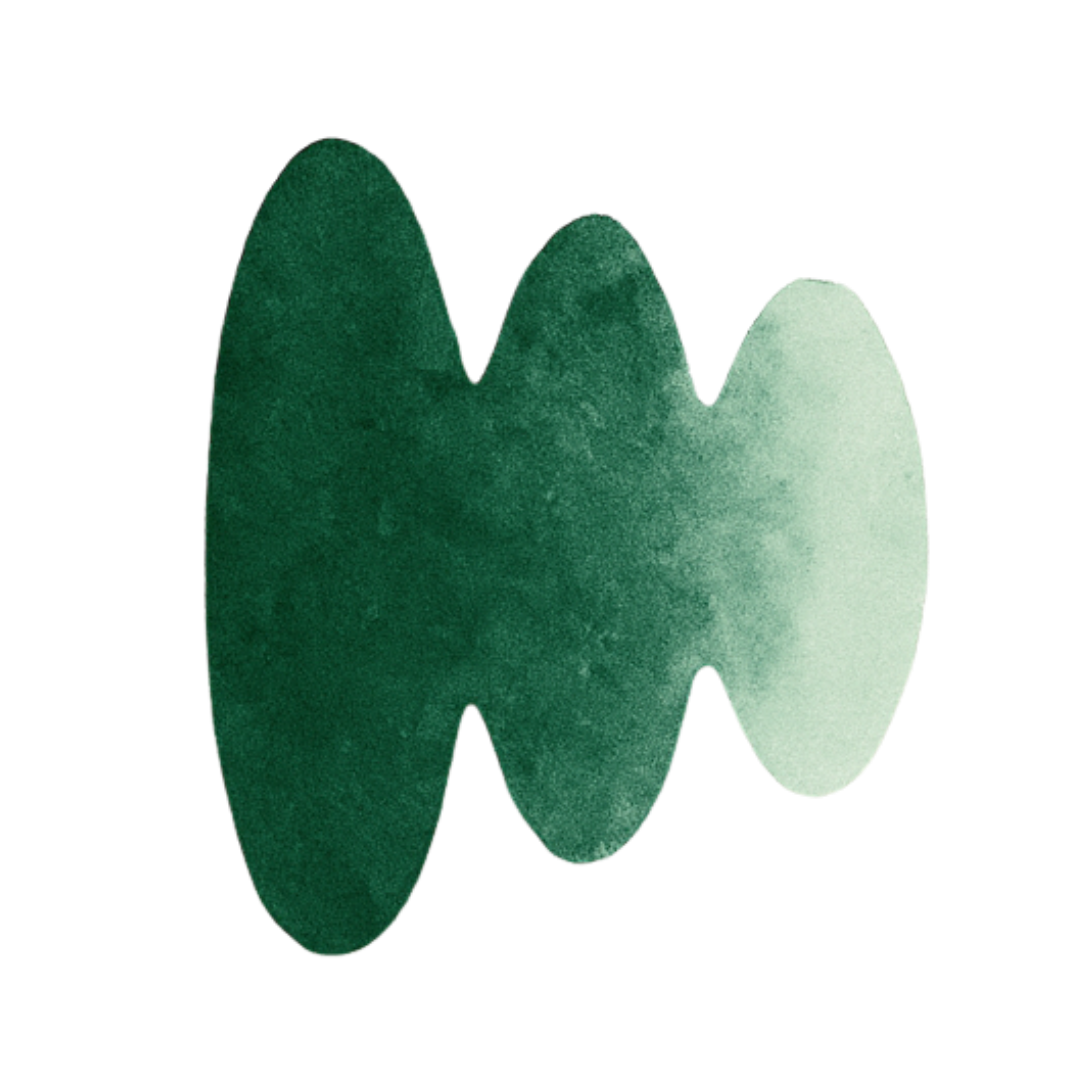 Hana Connect icon