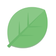 Life Calendar icon