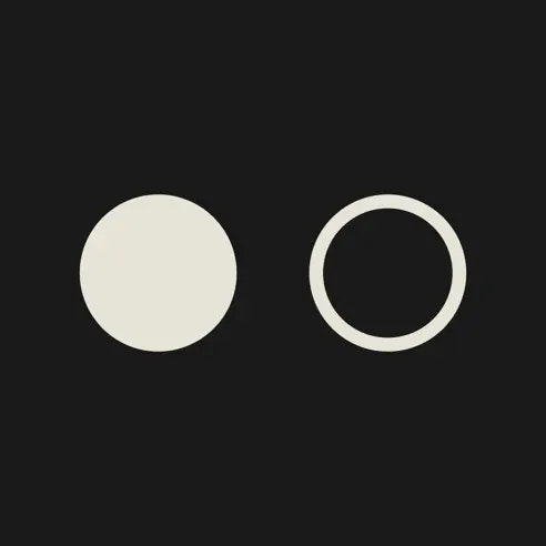 Mirror icon