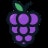 MyBerryFlow icon