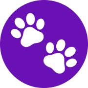 Petshot Pro - AI Pet Portrait Generator icon