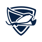 Stingray Security Chrome Extension icon