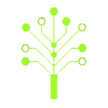 Structura icon