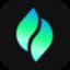 Verdent Deck icon