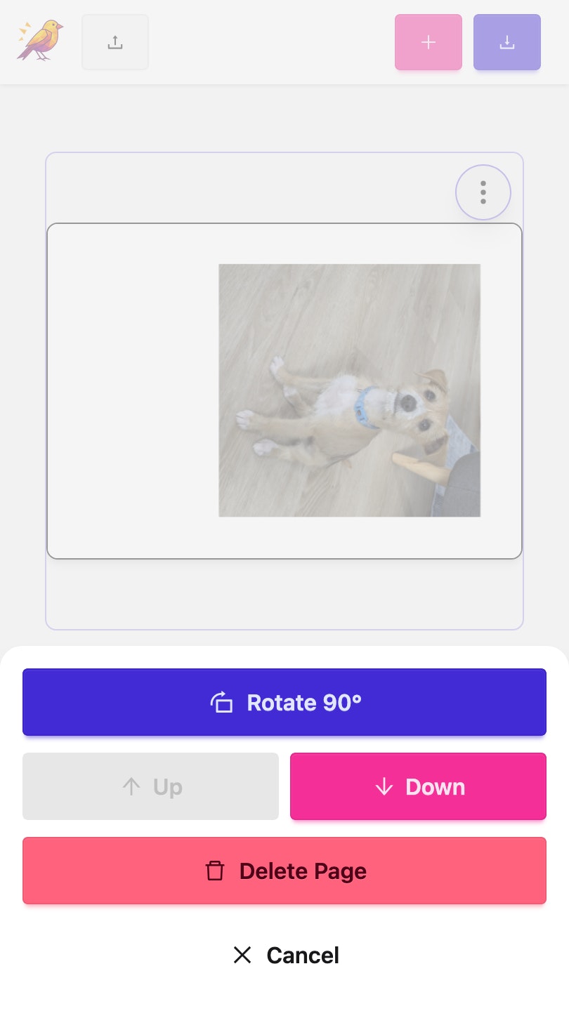 Project image 4