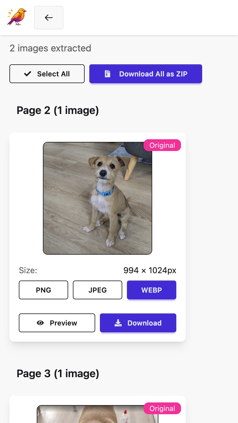 Project image 6