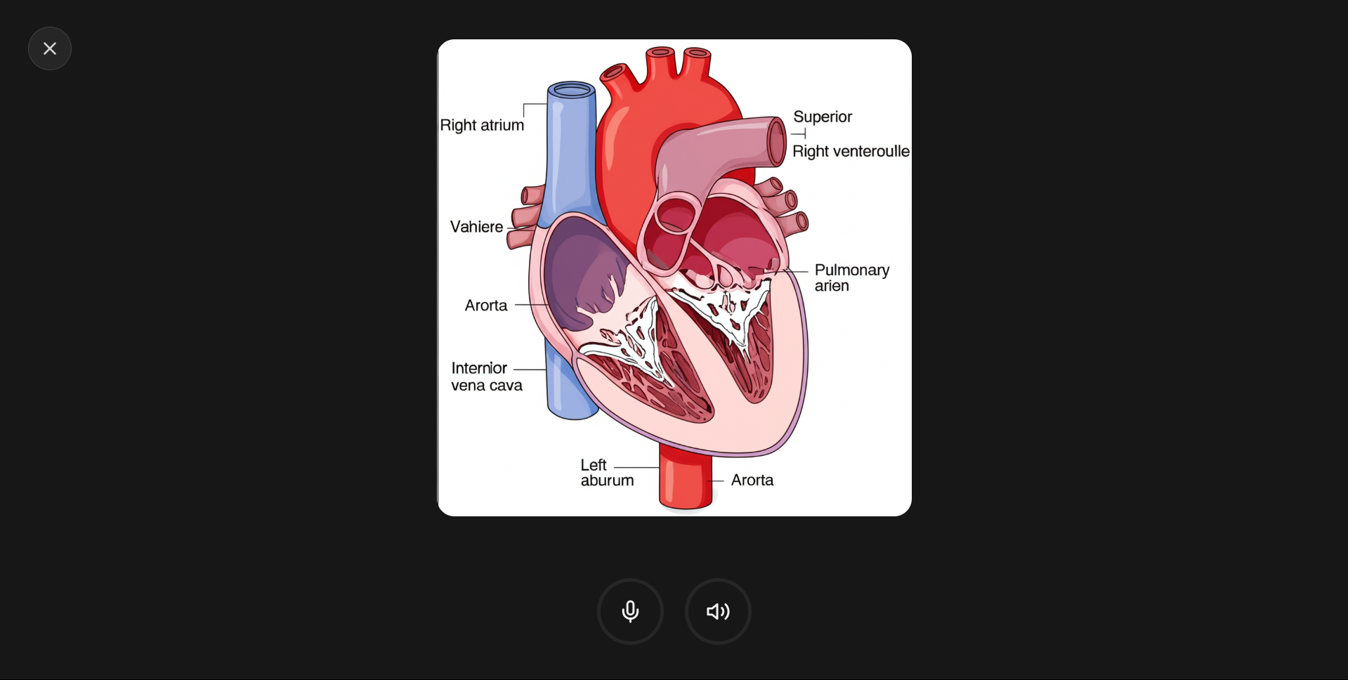 Project image 6