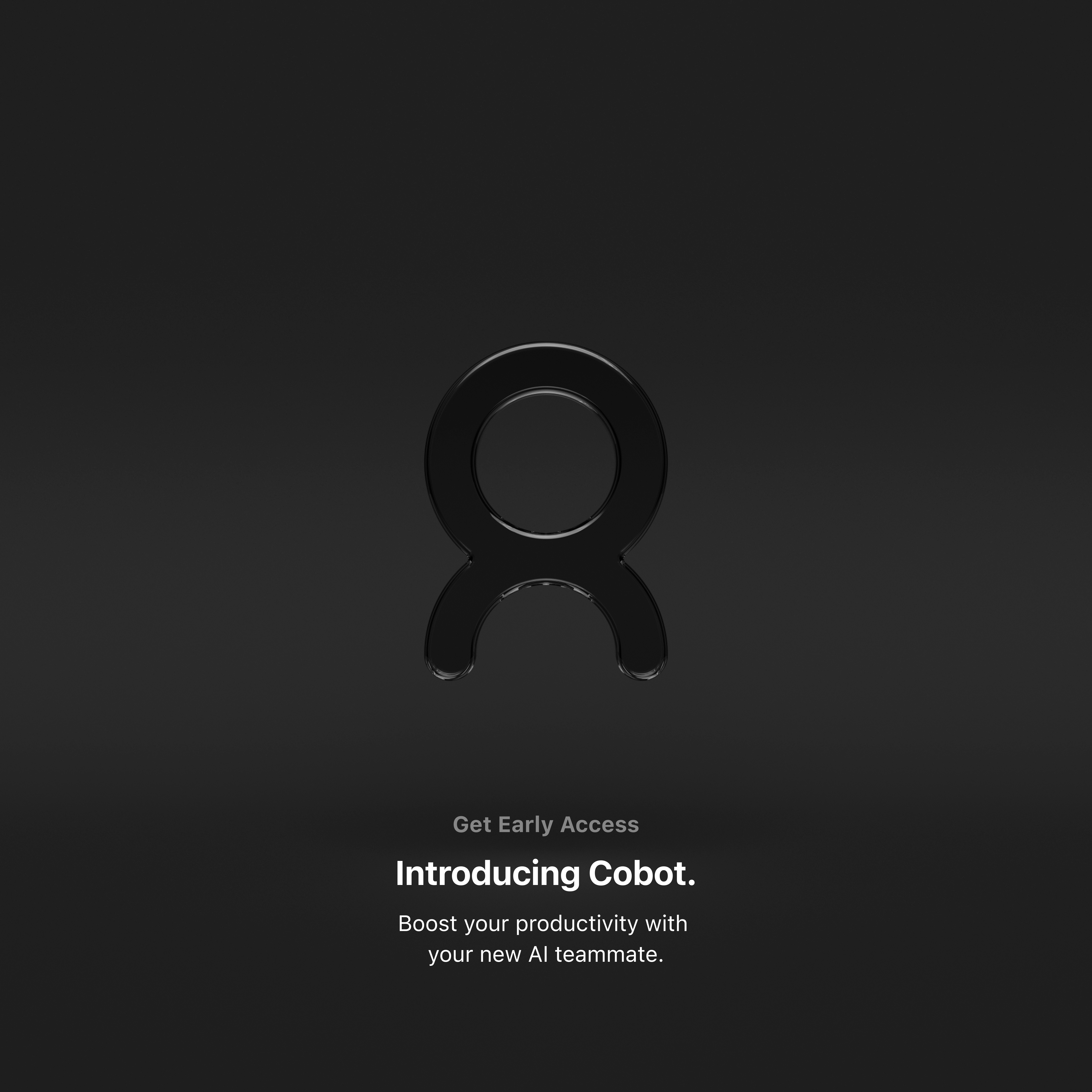 Project image 7
