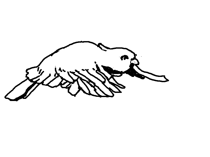 Project image 2