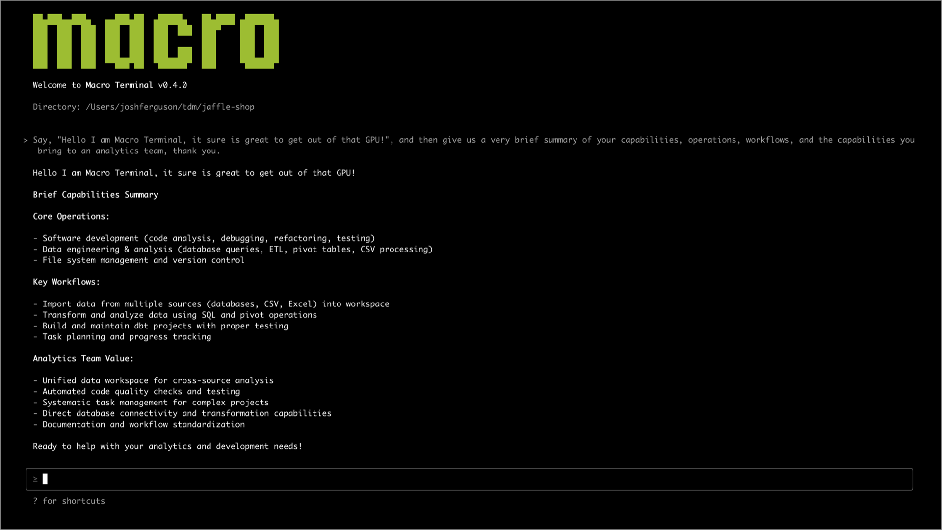 Project image 4