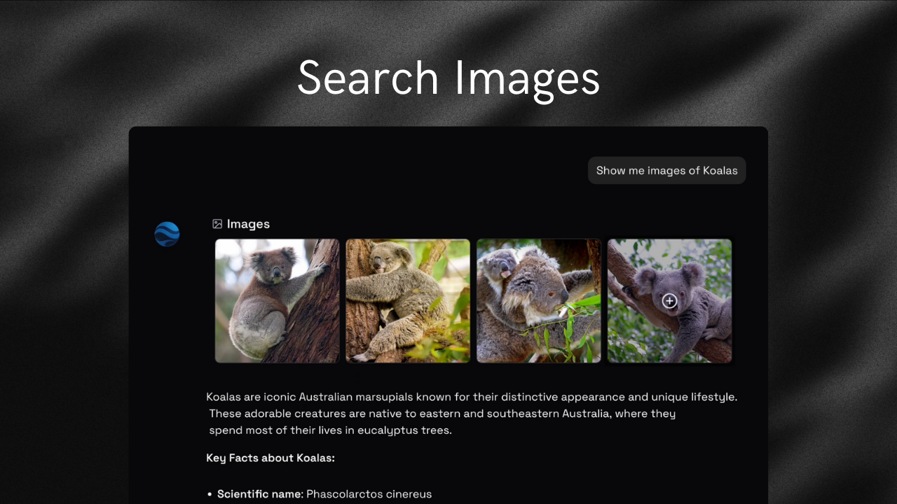 Project image 8