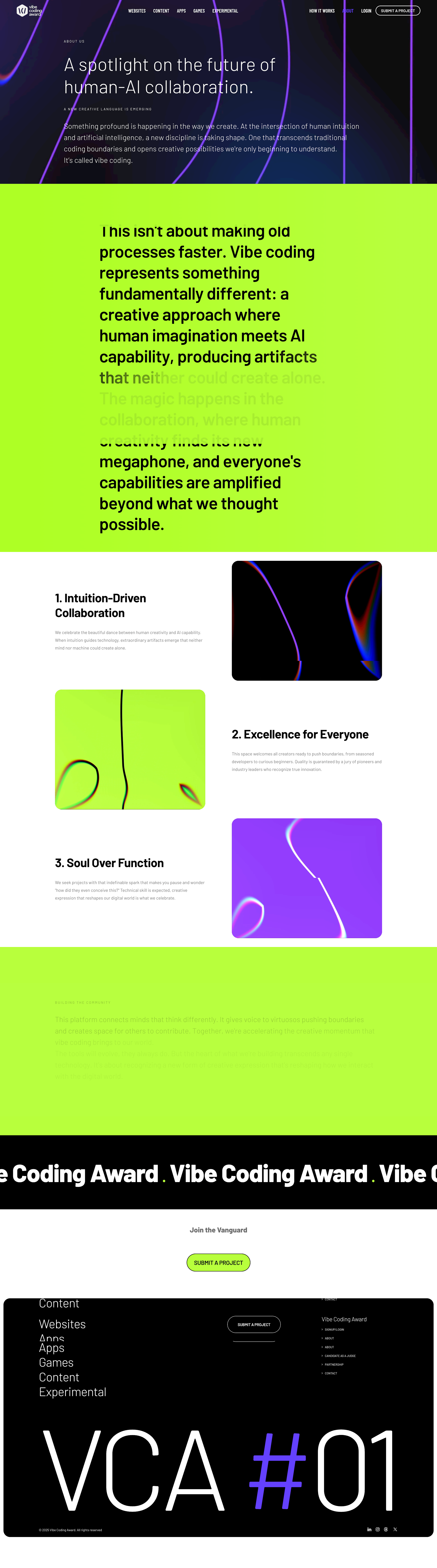 Project image 6